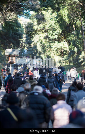 Hatsumode, Meijijingu Santuario, Shibuya, Tokyo, Giappone Foto Stock