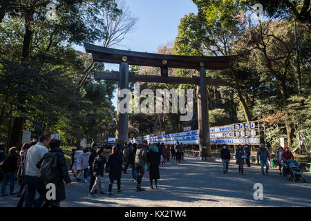 Hatsumode, Meijijingu Santuario, Shibuya, Tokyo, Giappone Foto Stock