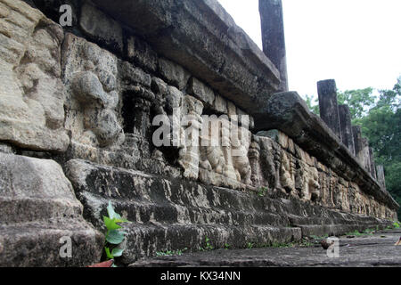 Sculture sulla parete della sala delle udienze in Polonnaruwa, Sri Lanka Foto Stock