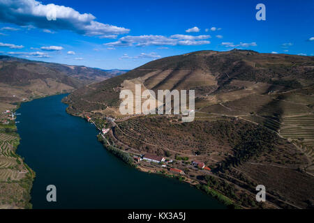 Vista aerea del fiume Douro e il circostante versanti terrazzati e una vinificazione estate in Portogallo, Europa; concetto per il viaggio in Portogallo, visitare il sito web Foto Stock