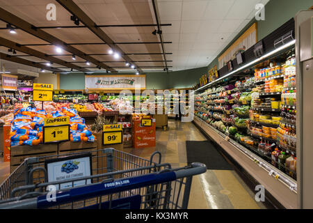 Food Lion negozio di alimentari di produzione interna ingresso Selezione carrello Foto Stock