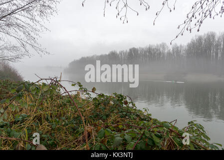 Il canottaggio un tandem rowing shell in Bedford canale del fiume Fraser in Fort Langley, British Columbia, Canada. Foto Stock
