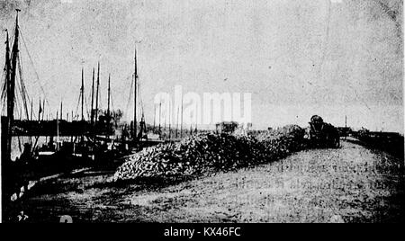 Fotografia che raffigura carri robusti che trasportano barbabietole da zucchero, con lavoratori locali o chiatte che gestiscono le colture, illustrando le pratiche agricole rurali. Foto Stock