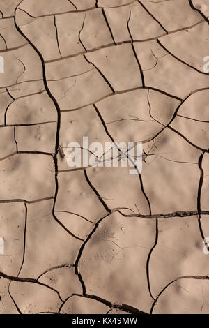 Close-up di un area fangoso che ha asciugato e spaccata in un deserto pozza;delicati colori beige,superficie irregolare,con scuri la formazione di cricche pattern, sfondo Foto Stock