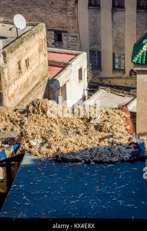 Essiccazione di lana sul tetto della conceria di Fez, Marocco Foto Stock