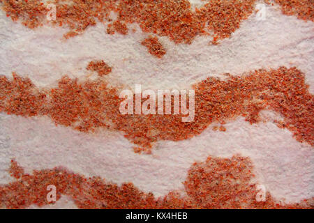 Immagine della rugosità colorati testura sabbiosa Foto Stock