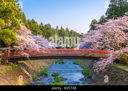 Shizuoka, Giappone durante la primavera. Foto Stock