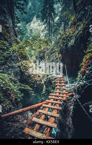 Abbandonato il vecchio ponte di legno con backup catena di metallo nel profondo della wild intrisa foresta. Road to Nowhere. Outdoor estrema attività in mountai Tatra Foto Stock