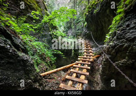 Duro cammino attraverso il canyon nelle montagne Tatra, Slovacchia. Abbandonato il vecchio ponte di legno andando da nessuna parte nella profonda mescolato selvaggia foresta. Outdoor ex Foto Stock