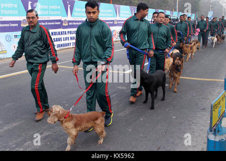 Kolkata, India. 07Th gen, 2018. La polizia di Kolkata dog squad marzo durante la polizia di Kolkata è guida sicura vita sicura Mezza Maratona. Atleti e generale delle persone prendere parte in Kolkata polizia guida sicura vita sicura mezza maratona su Gennaio 7, 2018 a Calcutta. Credito: Saikat Paolo/Pacific Press/Alamy Live News Foto Stock