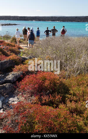 La gente che camminava sul cappello cinese isola, isole Galapagos Ecuador America del Sud Foto Stock