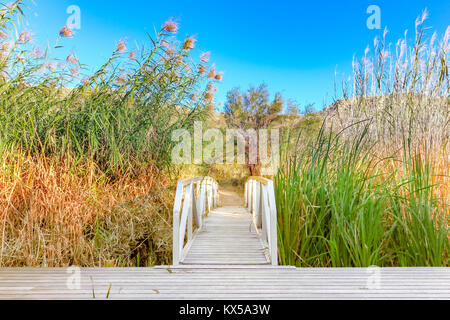 Rio Grande Villaggio Sentiero Natura nel Parco nazionale di Big Bend, Texas Foto Stock