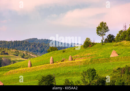 Haystacks su pendii erbosi in area rurale. incantevole paesaggio agrario in estate Foto Stock