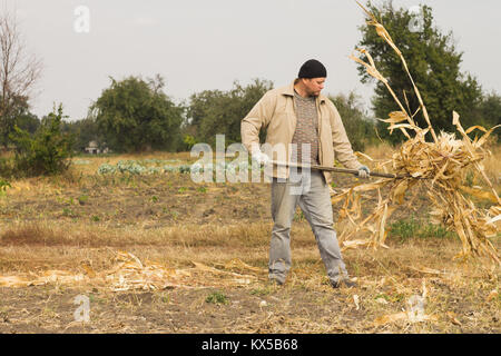 DIKANKA, Ucraina - 30 settembre 2015: Paese agricoltore lavora nel campo, porta un forcone il fieno Foto Stock