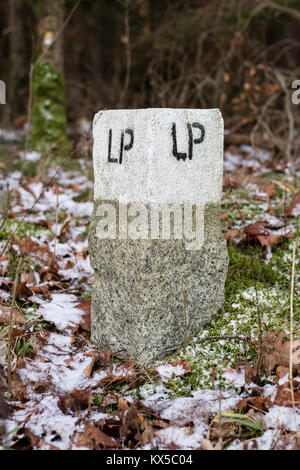 Il ramo post nella foresta. La marcatura in area forestale. Un post in pietra dipinta di bianco con i numeri neri. Bosco in inverno. Foto Stock