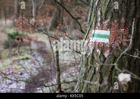 La marcatura del percorso turistico. Una strada turistica segno sulla corteccia di un albero di pino. Bosco in inverno. Foto Stock