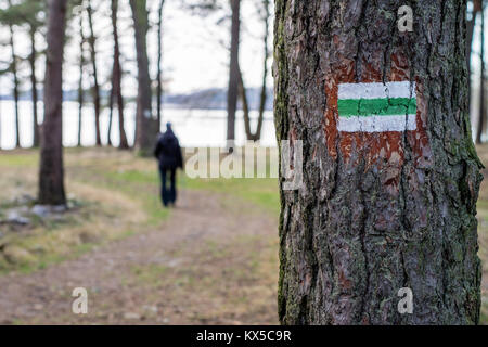 La marcatura del percorso turistico. Una strada turistica segno sulla corteccia di un albero di pino. Bosco in inverno. Foto Stock