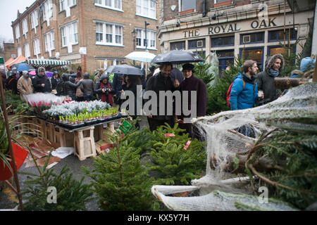 Londra, Inghilterra - dicembre 18 , 2017 alberi di Natale in vendita presso la Columbia Road flower market in Bethnal Green. Foto Stock