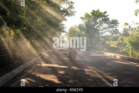 I raggi di luce che cade su di strada Foto Stock