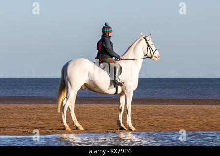 Cavallo Cavaliere, Spiaggia di Cleveleys Lancashire. 8 gennaio 2018. Regno Unito Meteo. Deborah Simmonds mette il suo amato Cavallo, 4 anno vecchio 'Scooby' attraverso i suoi passi come egli trot attraverso la marea entrante nel glorioso sole invernale lungo le rive di Cleveleys beach in Lancashire. Credito: Cernan Elias/Alamy Live News Foto Stock