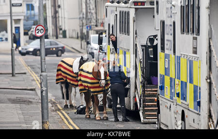 Brighton, Regno Unito. 8 Gen, 2018. I cavalli della polizia da Thames Valley vigore al retro del Brighton stazione di polizia essendo predisposta per il controllo della folla a dazi tonights FA Cup partita di calcio tra Brighton e Hove Albion e Crystal Palace Credito: Simon Dack/Alamy Live News Foto Stock