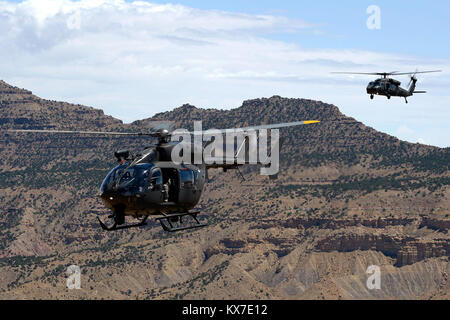 I membri dell'aviazione 2-211 Battaglione tornare da Grand Junction, Colorado Luglio 29, 2013 per assistere nella consegna di due UH-72 Lakota elicotteri. La UH-72s contribuirà a realizzare alcune delle stesse missioni 2-211 esegue con la UH-60 ma con una riduzione dei costi di esercizio( U.S. Air Force photo Tim Chacon) Foto Stock