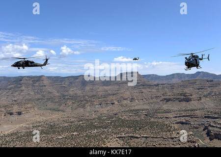 I membri dell'aviazione 2-211 Battaglione tornare da Grand Junction, Colorado Luglio 29, 2013 per assistere nella consegna di due UH-72 Lakota elicotteri. La UH-72s contribuirà a realizzare alcune delle stesse missioni 2-211 esegue con la UH-60 ma con una riduzione dei costi di esercizio( U.S. Air Force photo Tim Chacon) Foto Stock