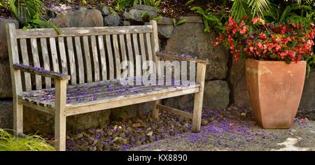 Cerca rustico panca di legno ricoperto di fiori viola, Sunshine Coast, Queensland, Australia Foto Stock