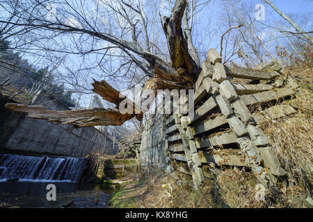 Abbandonato calcestruzzo giapponese il rafforzamento di una pendenza del suolo. Isola di Sakhalin, Russia. Foto Stock