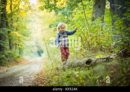 Giovane ragazzo giocando nella foresta autunnale Foto Stock