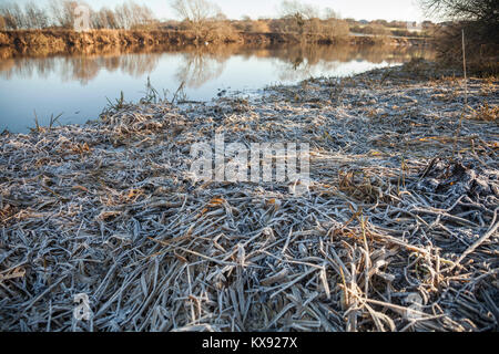 Un gelido mattino dalle rive del Fiume Tees a Yarm,l'Inghilterra,UK Foto Stock