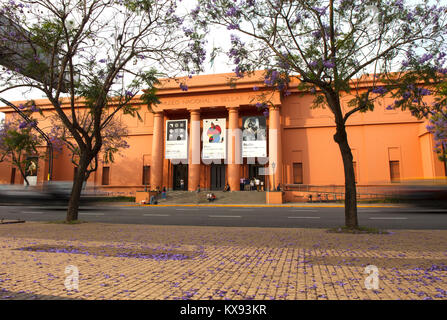 La facciata principale del 'Museo Nacional de Bellas Artes' in primavera con alberi di Jacaranda. Recoleta, Buenos Aires, Argentina. Foto Stock