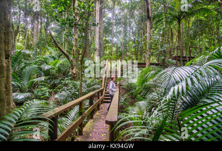 Isola Norfolk, australiano territorio esterno, isola Norfolk Botanical Foto Stock