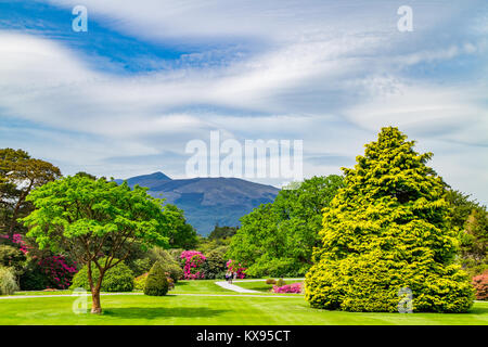 Giardino di Muckross House, Bourn Vincent Memorial Park, Parco Nazionale di Killarney, Killarney, County Kerry, Irlanda, Europa Foto Stock