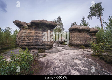 Funghi di pietra rock formazione in Broumovske steny (Broumov pareti) la gamma della montagna e la riserva naturale, parte della tabella montagne in Repubblica Ceca Foto Stock