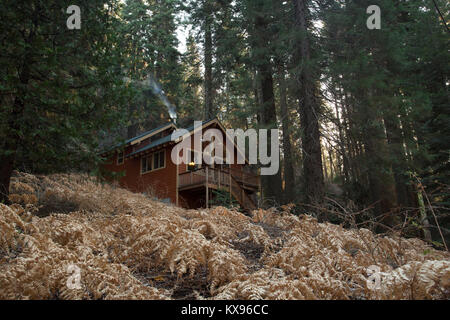 Cabina accogliente nella foresta a cresta Sequioa, California Foto Stock