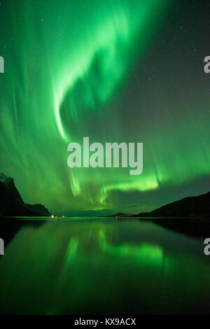 Aurora Boreali Northern Lights over Tjongsfjorden, Rodoy, Nordland, Norvegia. Sul percorso 17. Foto Stock