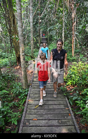 I turisti in una passeggiata attraverso la giungla di Taman Negara National Park, Malaysia Foto Stock