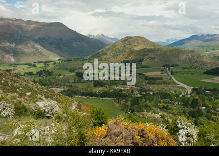 La vista del bacino Wakatipu verso Queenstown dalla giunzione a freccia con colline, montagne, fiori, campagna, nella primavera / estate campagna, percorso 6 Foto Stock