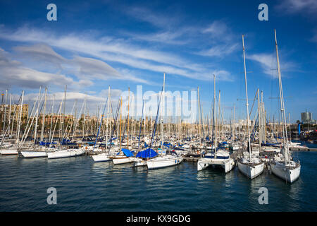 Barche a vela a Moll de la Fusta Port Vell Barcellona Spagna. Foto Stock