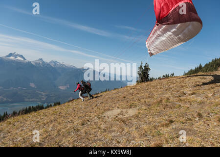 I parapendii si prepara a prendere il via dalla montagna Foto Stock