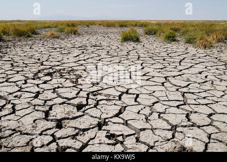 TANZANIA Serengeti Nationalpark vicino ad Arusha , siccità, incrinato il suolo a causa della scarsità di acqua Foto Stock