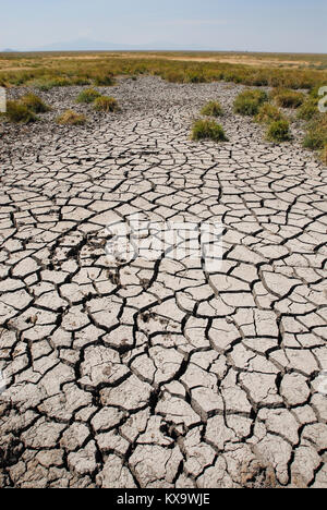 TANZANIA Serengeti Nationalpark vicino ad Arusha , siccità, incrinato il suolo a causa della scarsità di acqua Foto Stock