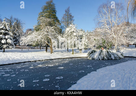 Frozen Duck Pond in Grove Park, Harborne, Birmingham su una soleggiata giornata invernale dopo la nevicata. Foto Stock