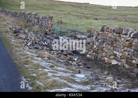 Le riparazioni di danni wintery sulla pietra a secco in parete Nidderdale, North Yorkshire Foto Stock