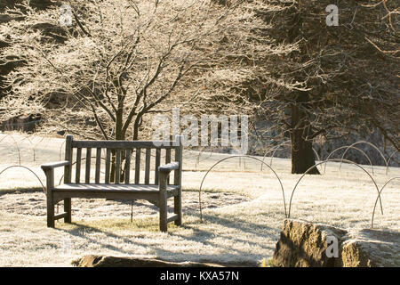 Un freddo gelido e mattina a RHS Garden,Harlow Carr,North Yorkshire, Inghilterra, Regno Unito. Foto Stock