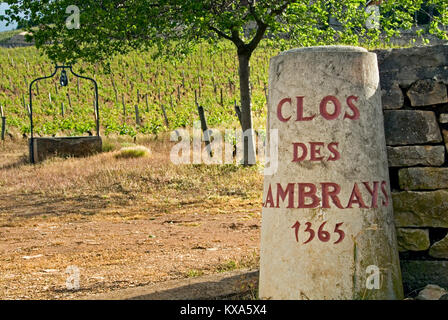 CLOS DES LAMBRAYS entrata in pietra il marcatore per il 1365 Clos des Lambrays Grand Cru vigna Morey-St-Denis Cote d'Or Borgogna Francia Foto Stock