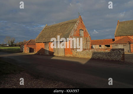 Fienile con tetto in paglia inlow sole invernale Hempstead, Lessingham, Norfolk Dicembre Foto Stock