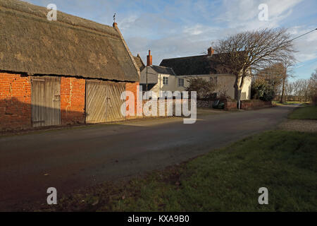 Fattoria di faggio Hempstead, Lessingham, Norfolk Dicembre Foto Stock