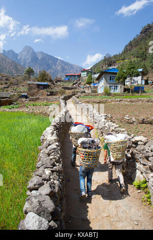 I portieri sono carichi pesanti sul modo di Namche Bazar, un villaggio lungo il Campo Base Everest trek nell'himalaya nepalese. Foto Stock